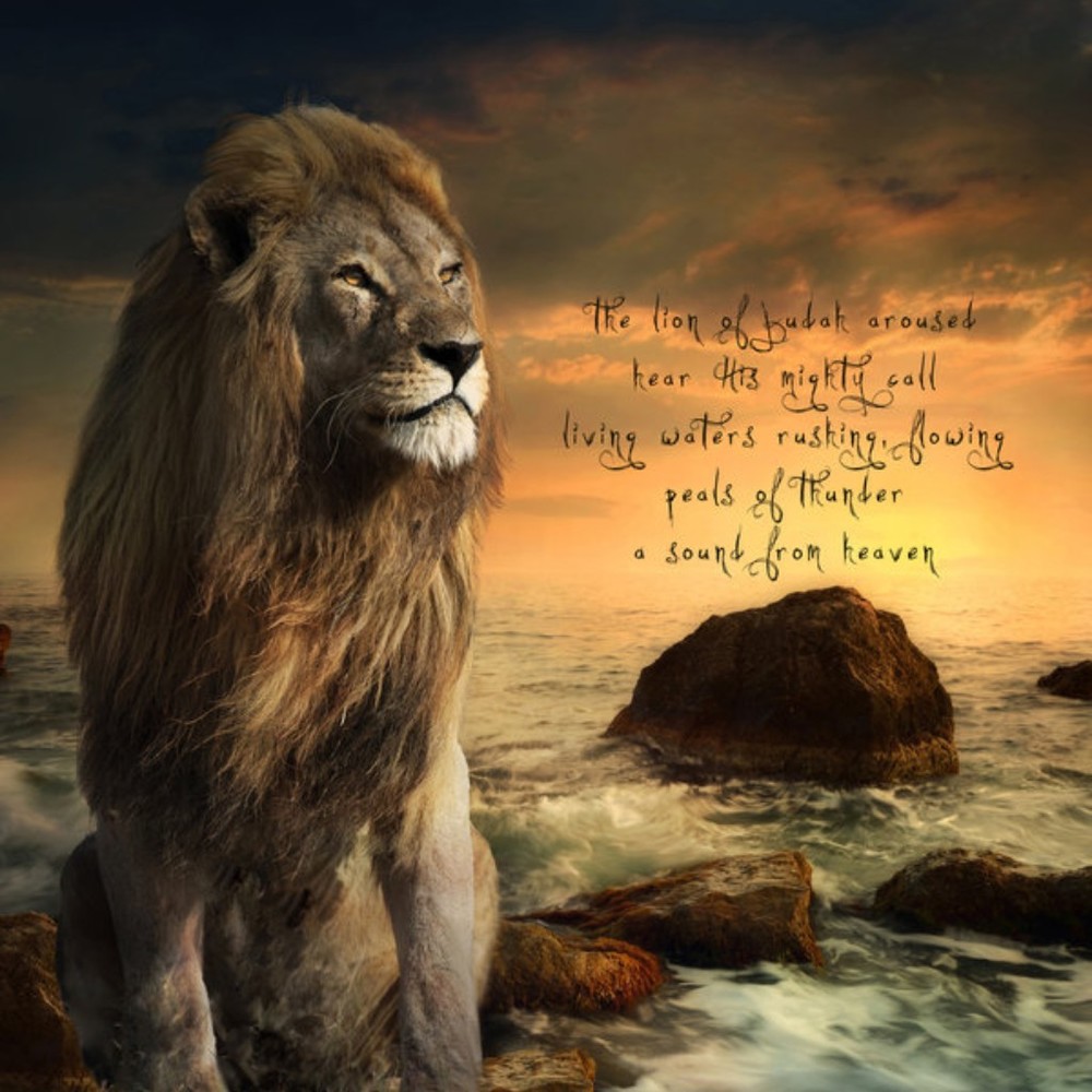 Meet your Posher, Posh